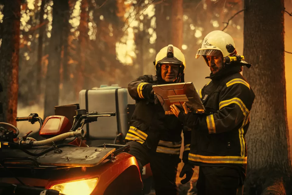 Two firefighters in a forest fore looking at tablet.